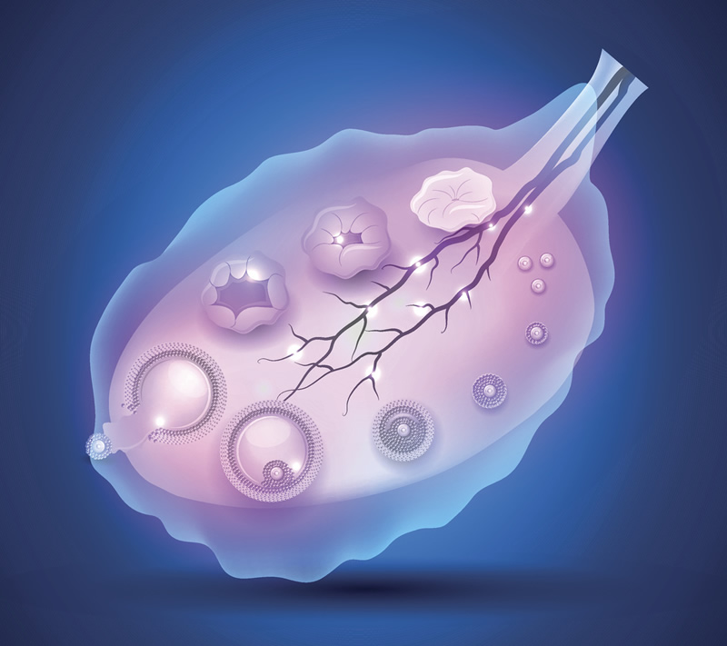 泰国三代试管婴儿排名前十名的医院
